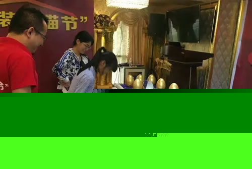 亚欧装饰第二届家装天猫节活动圆满结束
