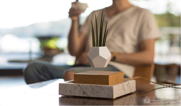 悬浮盆栽你敢信?打造创意家居新亮点