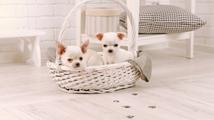 1家居定制客厅需要注意哪些方面?看完你就懂了! 1家居定制客厅需要注意哪些方面?看完你就懂了!